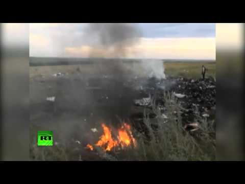 Ополченцы готовы объявить перемирие с Киевом для проведения расследования падения Boeing-777
