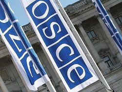 ОБСЕ объявила о начале наблюдения за российскими КПП