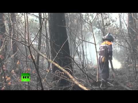Спасатели продолжают бороться с лесными пожарами в Тверской области