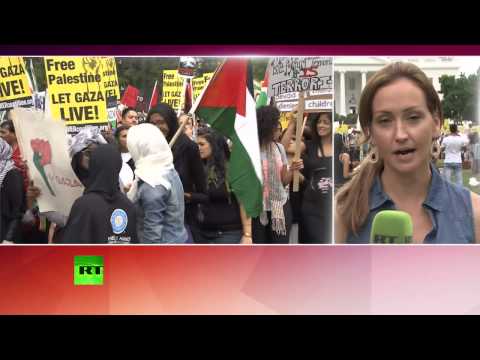 У Белого дома протестуют против оккупации Палестины