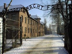 Схетына: Освенцим освобождали прежде всего украинцы
