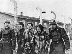 Освобождение Освенцима - подвиг Красной армии