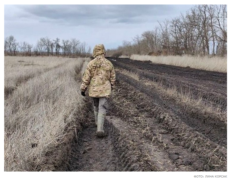 Танкисты назвали лучшие боевые машины СВО