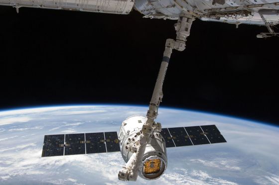     Dragon     8 