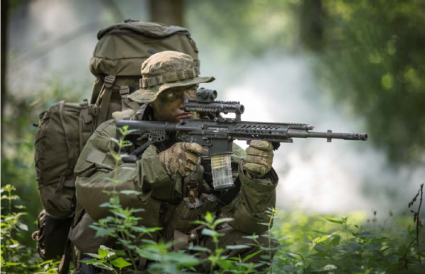  Rheinmetall  Steyr Mannlicher     RS556