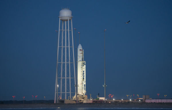    Cygnus       18 