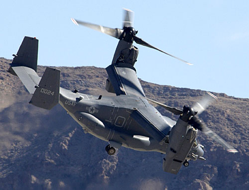 Osprey    