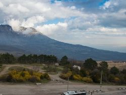 CounterPunch:     "-"