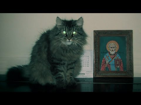 -3   15. : 