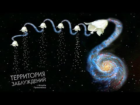      33:   (20.08.2013)