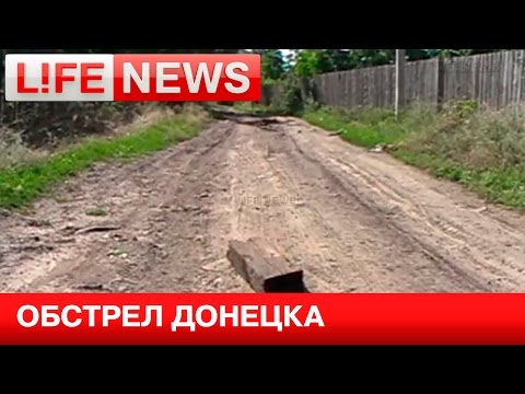 LifeNews         