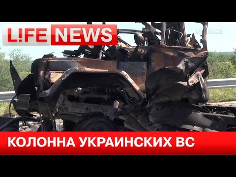 LifeNews        