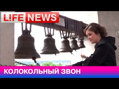  LifeNews   