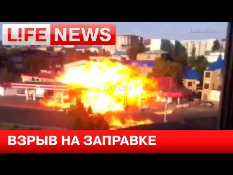 LifeNews       