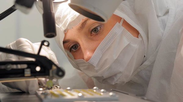 Электроника Электроника