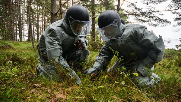 Саперы Саперы