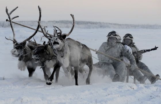 Разведчики Разведчики