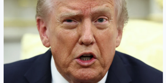 Хитрый ход или глупость: почему Трамп отменил встречу с Путиным в Будапеште